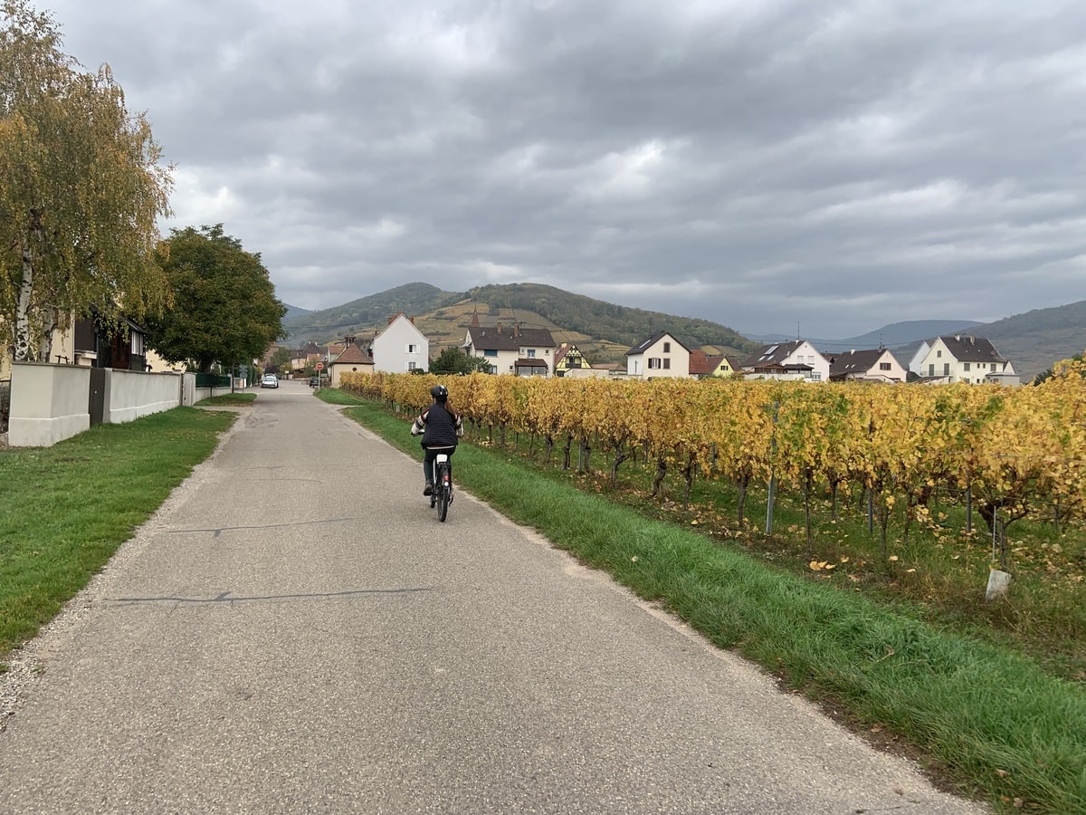 Balade à vélo électrique en Alsace dans notre article Faire la route des vins d’Alsace à vélo électrique #Alsace # #VinsAlsace #RouteDesVinsAlsace #Velo #VeloElectrique #France