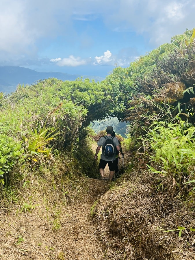Sentier de l'Aileron dans notre article Ascension de la Montagne Pelée en Martinique #MontagnePelée #MontPelée #VolcanPelée #Martinique #Antilles #RandonnéePelée