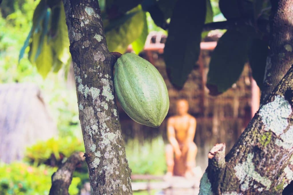 Quoi manger en Martinique en 14 spécialités culinaires #martinique #antilles #caraibes #cuisine #quoimanger #specialitesculinaires