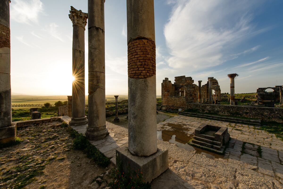 Ruines romaines de Volubilis au Maroc dans notre article Visiter le Nord du Maroc en 11 incontournables : mon circuit dans le nord marocain #NordDuMaroc #Maroc #AfriqueDuNord #Afrique #Maghreb