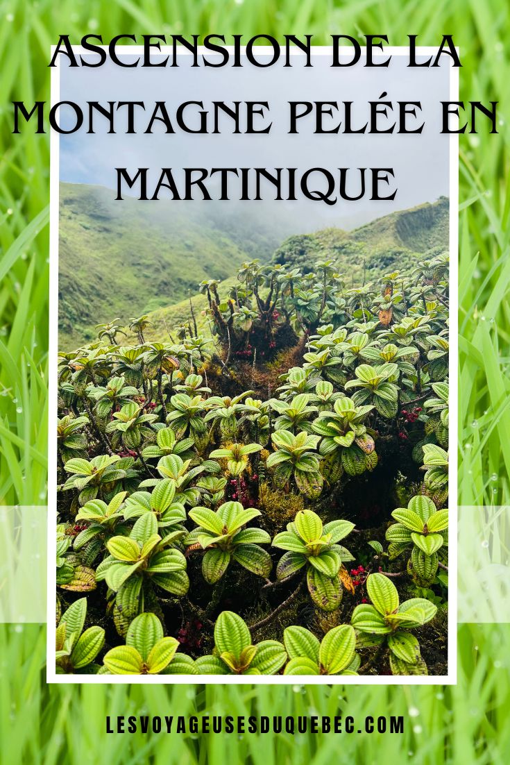 Ascension de la Montagne Pelée en Martinique #MontagnePelée #MontPelée #VolcanPelée #Martinique #Antilles #RandonnéePelée