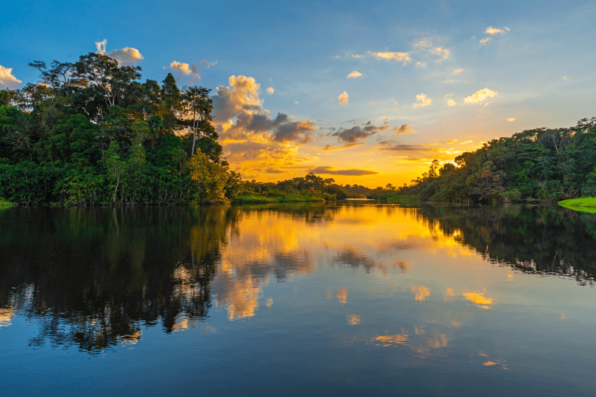 Parc national de Tortuguero dans notre Voyage au Costa Rica entre femmes en groupe organisé #costarica #ameriquecentrale #voyage #voyageorganise #voyageentrefemmes