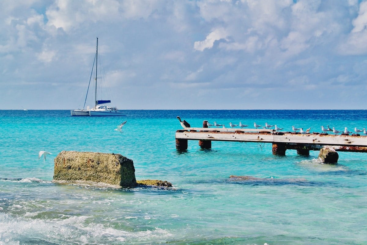 Catamaran dans la mer et mouettes sur le quai en voyage organisé sur l'île de Curaçao entre femmes #curacao #antilles #caraibes #voyageentrefemmes #voyage #voyagedegroupe #voyageorganise