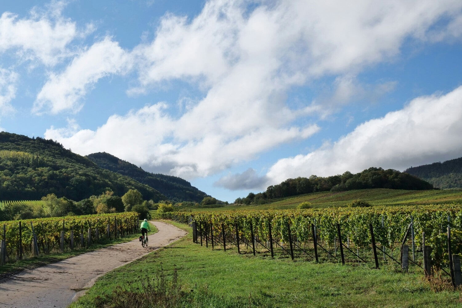 Cycliste qui pédale sur la route dans un vignoble dans notre article 5 beaux endroits où faire du vélo au Québec #quebec #velo #pistecyclable