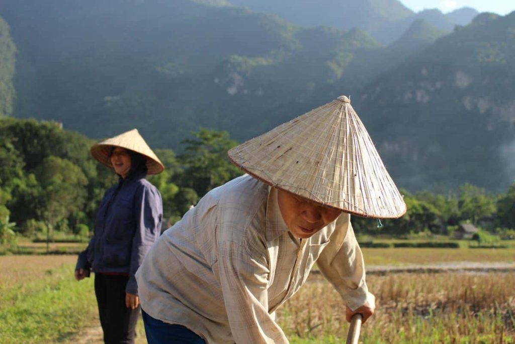 Vietnamiens aux champs à Mai Chau lors d'un voyage avec Les voyageuses du Québec au Vietnam #vietnam #voyageentrefemmes #voyage #voyagedegroupe #voyageorganise