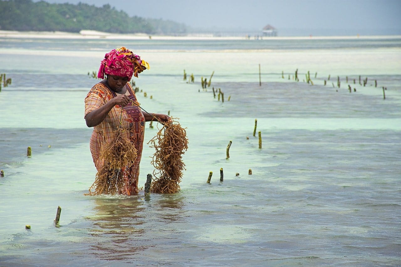 La vie quotidienne des femmes à Zanzibar, dans notre Voyage organisé entre femmes en Tanzanie #Tanzanie #safari #voyageentrefemmes #voyage #voyagedegroupe #voyageorganise
