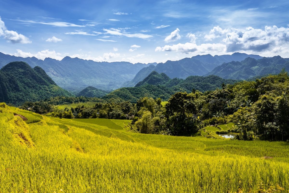 Faire de la randonnée dans la réserve de Pu Luong pendant notre voyage organisé au Vietnam entre femmes #vietnam #voyageentrefemmes #voyage #voyagedegroupe #voyageorganise