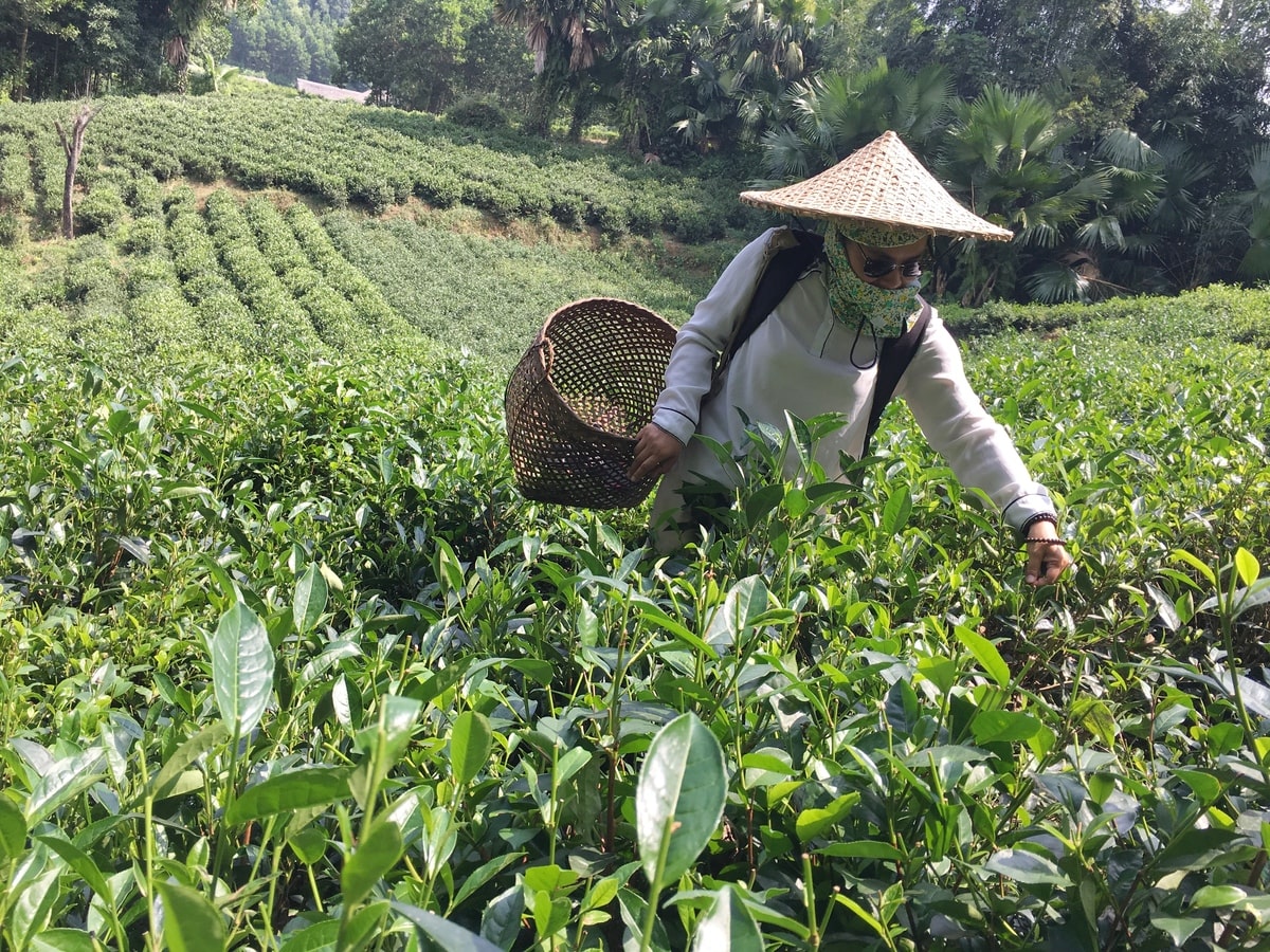 Village Thai Hai au Vietnam dans notre Voyage organisé au Vietnam entre femmes #vietnam #voyageentrefemmes #voyage #voyagedegroupe #voyageorganise