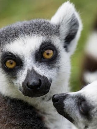 VOYAGE À MADAGASCAR ENTRE FEMMES