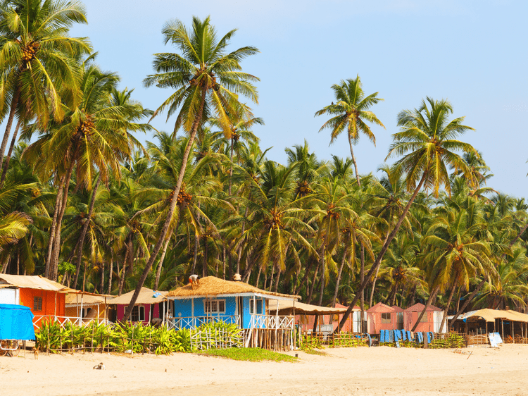 Plage de Palolem à Goa, dans notre Voyage en Inde du sud organisé en petit groupe de femmes #Inde #Indedusud #voyageentrefemmes #voyage #voyagedegroupe #voyageorganise