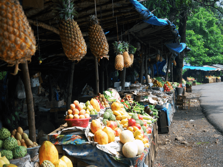 Découvrir des fruits exotiques au marché de fruits, dans notre Voyage en Inde du sud organisé en petit groupe de femmes #Inde #Indedusud #voyageentrefemmes #voyage #voyagedegroupe #voyageorganise