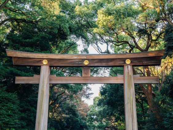 Meiji-Jingu-temple à Tokyo au Japon dans notre Voyage organisé au Japon entre femmes : au coeur des traditions #japon #voyageentrefemmes #voyage #voyagedegroupe #voyageorganise