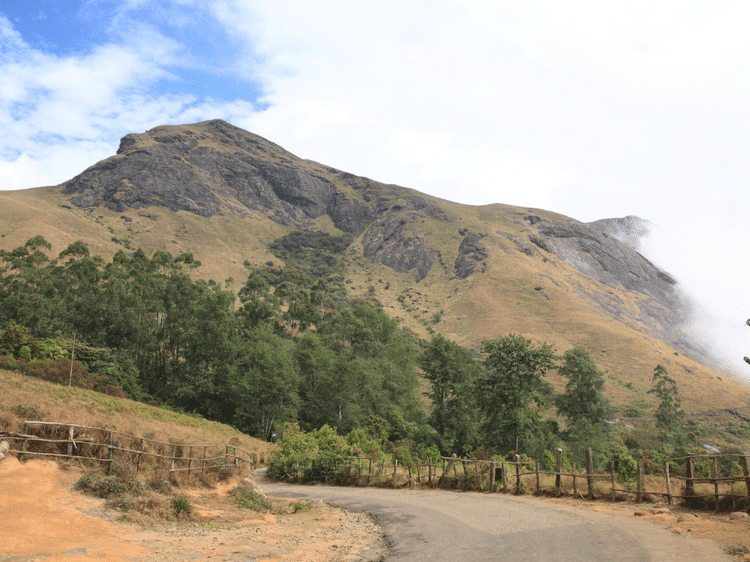 Pic de Anamudi sur la route de Munnar, dans notre Voyage en Inde du sud organisé en petit groupe de femmes #Inde #Indedusud #voyageentrefemmes #voyage #voyagedegroupe #voyageorganise