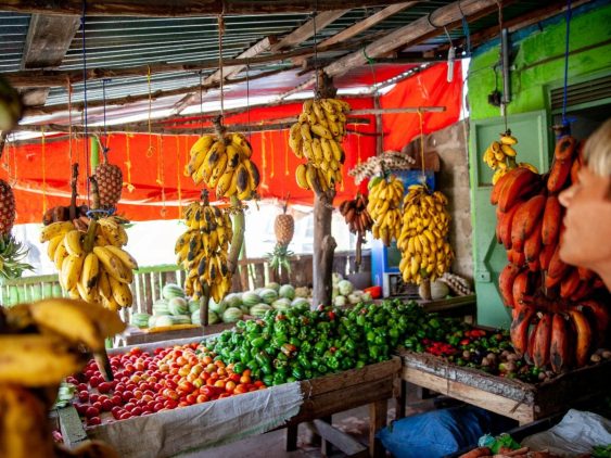 fruits et légumes au marché de Zanzibar dans notre Voyage en Tanzanie organisé en petit groupe de femmes #Tanzanie #safari #voyageentrefemmes #voyage #voyagedegroupe #voyageorganise