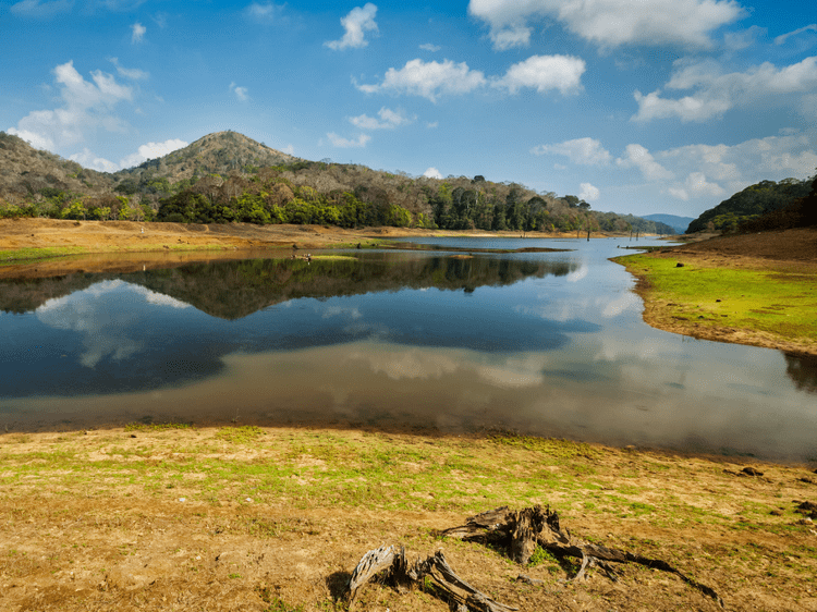 Parc national du Periyar, dans notre Voyage en Inde du sud organisé en petit groupe de femmes #Inde #Indedusud #voyageentrefemmes #voyage #voyagedegroupe #voyageorganise