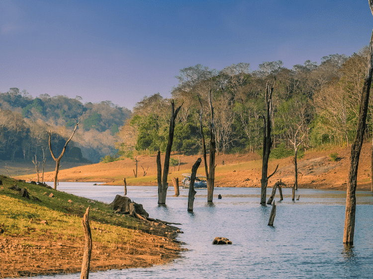 Paysages sauvages du Periyar, dans notre Voyage en Inde du sud organisé en petit groupe de femmes #Inde #Indedusud #voyageentrefemmes #voyage #voyagedegroupe #voyageorganise