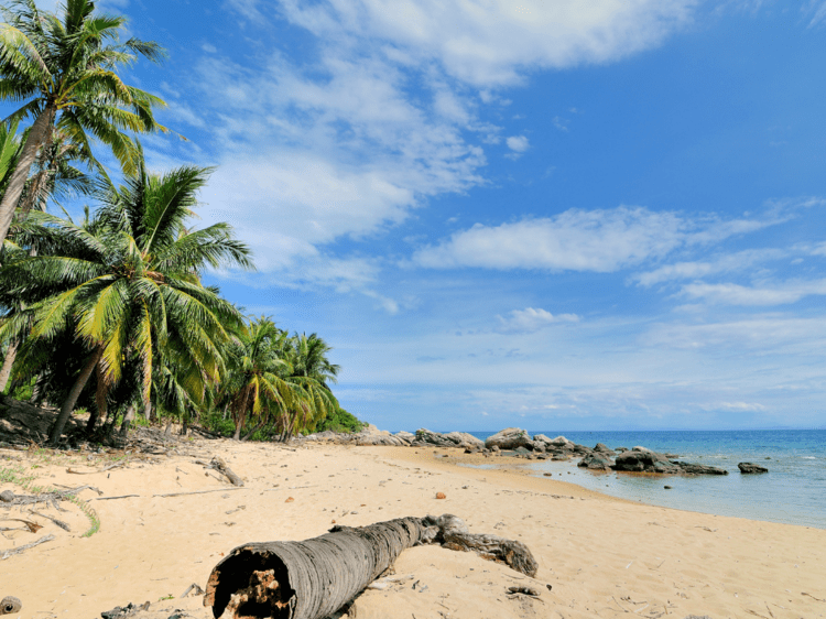 plage de sable avec des palmiers a l'ile de Cham, dans notre voyage organisé entre femmes au Vietnam grand circuit du nord au sud #Vietnam #nordausud #voyageentrefemmes #voyage #voyagedegroupe #voyageorganise