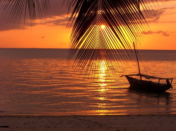 coucher de soleil sur la plage de Zanzibar dans notre Voyage en Tanzanie organisé en petit groupe de femmes #Tanzanie #safari #voyageentrefemmes #voyage #voyagedegroupe #voyageorganise
