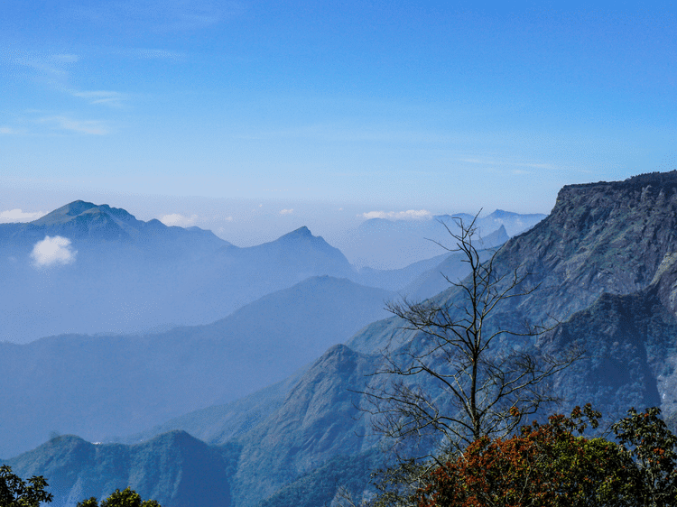 Sommets brumeux de Ooty, dans notre Voyage en Inde du sud organisé en petit groupe de femmes #Inde #Indedusud #voyageentrefemmes #voyage #voyagedegroupe #voyageorganise