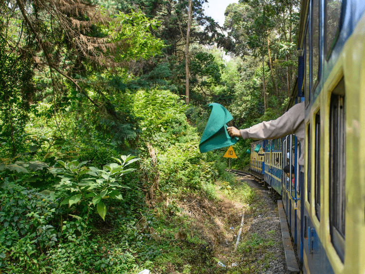 Prendre le train à crémaillère et parcourir des forêts, dans notre Voyage en Inde du sud organisé en petit groupe de femmes #Inde #Indedusud #voyageentrefemmes #voyage #voyagedegroupe #voyageorganise