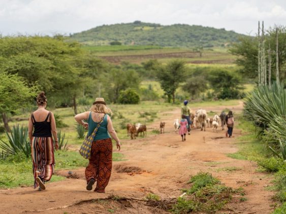 femmes qui marchent dans la plaine en Tanzanie dans notre Voyage en Tanzanie organisé en petit groupe de femmes #Tanzanie #safari #voyageentrefemmes #voyage #voyagedegroupe #voyageorganise