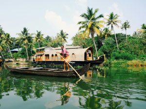 Backwater dans notre Voyage en petit groupe en Inde du Sud entre femmes #inde #indedusud #voyageentrefemmes #voyage #voyagedegroupe #voyageorganise #petitgroupe